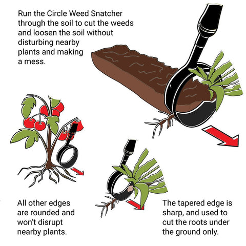 Image of Circle Weed Snatcher - Ruppert Garden Tools, LLC
